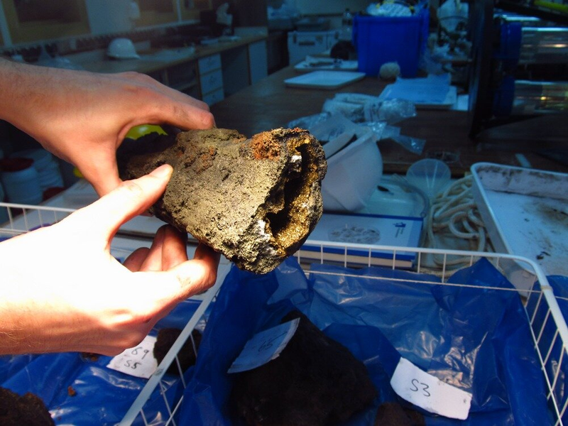 Illustration for article titled The First Pictures of Life in the Deepest Ocean Vents Ever Discovered